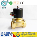 Direct Action Water 24v Solenoid Valve